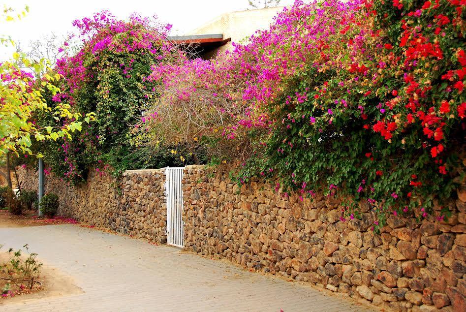 Lesanel - Guest House Αράντ Εξωτερικό φωτογραφία